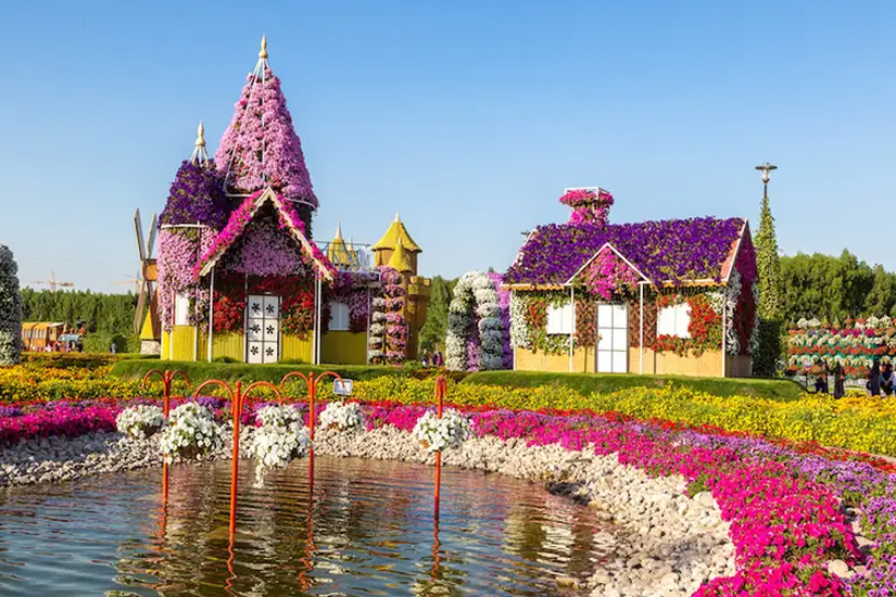 Miracle Garden